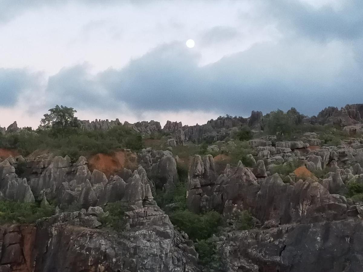 Casa Rural Nacimiento Del Hueznar - Tomillo 17 San Nicolás del Puerto Exteriör bild