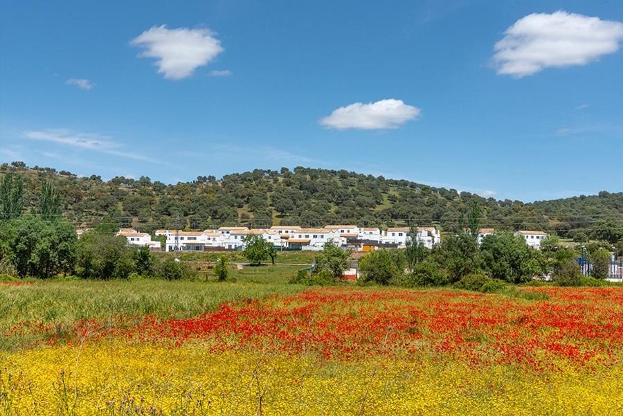 Casa Rural Nacimiento Del Hueznar - Tomillo 17 San Nicolás del Puerto Exteriör bild