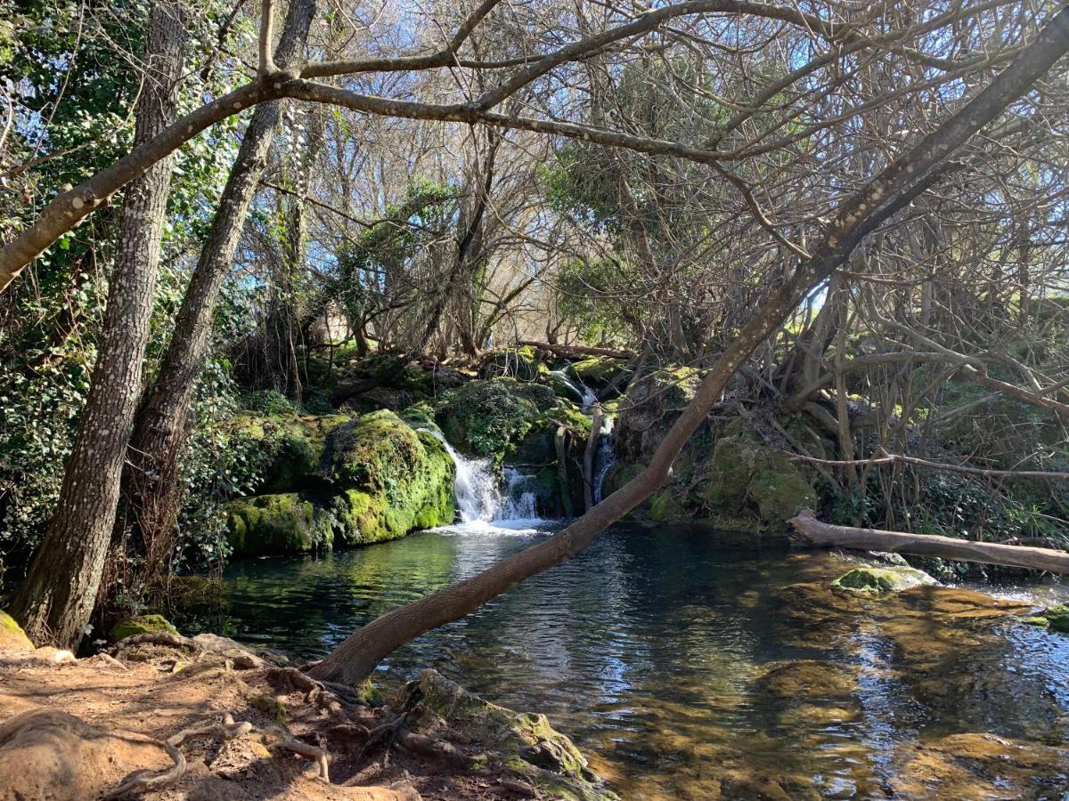 Casa Rural Nacimiento Del Hueznar - Tomillo 17 San Nicolás del Puerto Exteriör bild
