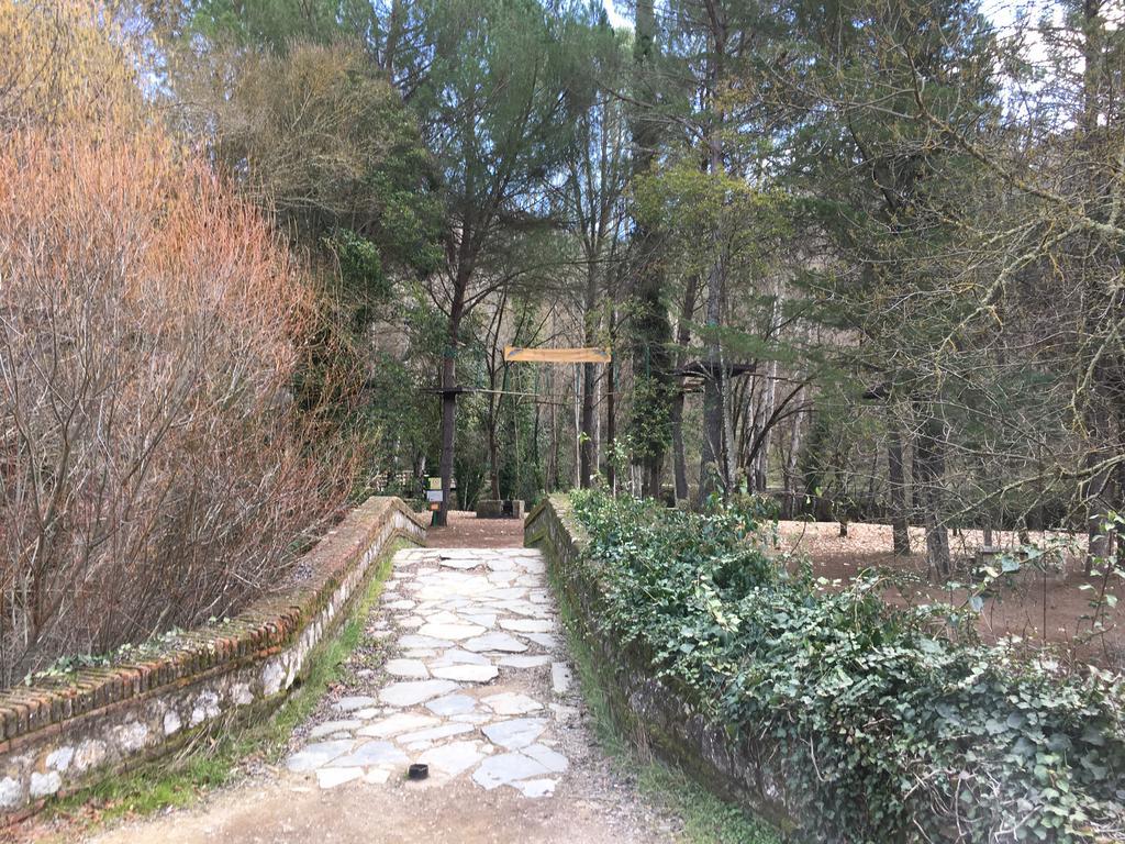 Casa Rural Nacimiento Del Hueznar - Tomillo 17 San Nicolás del Puerto Exteriör bild